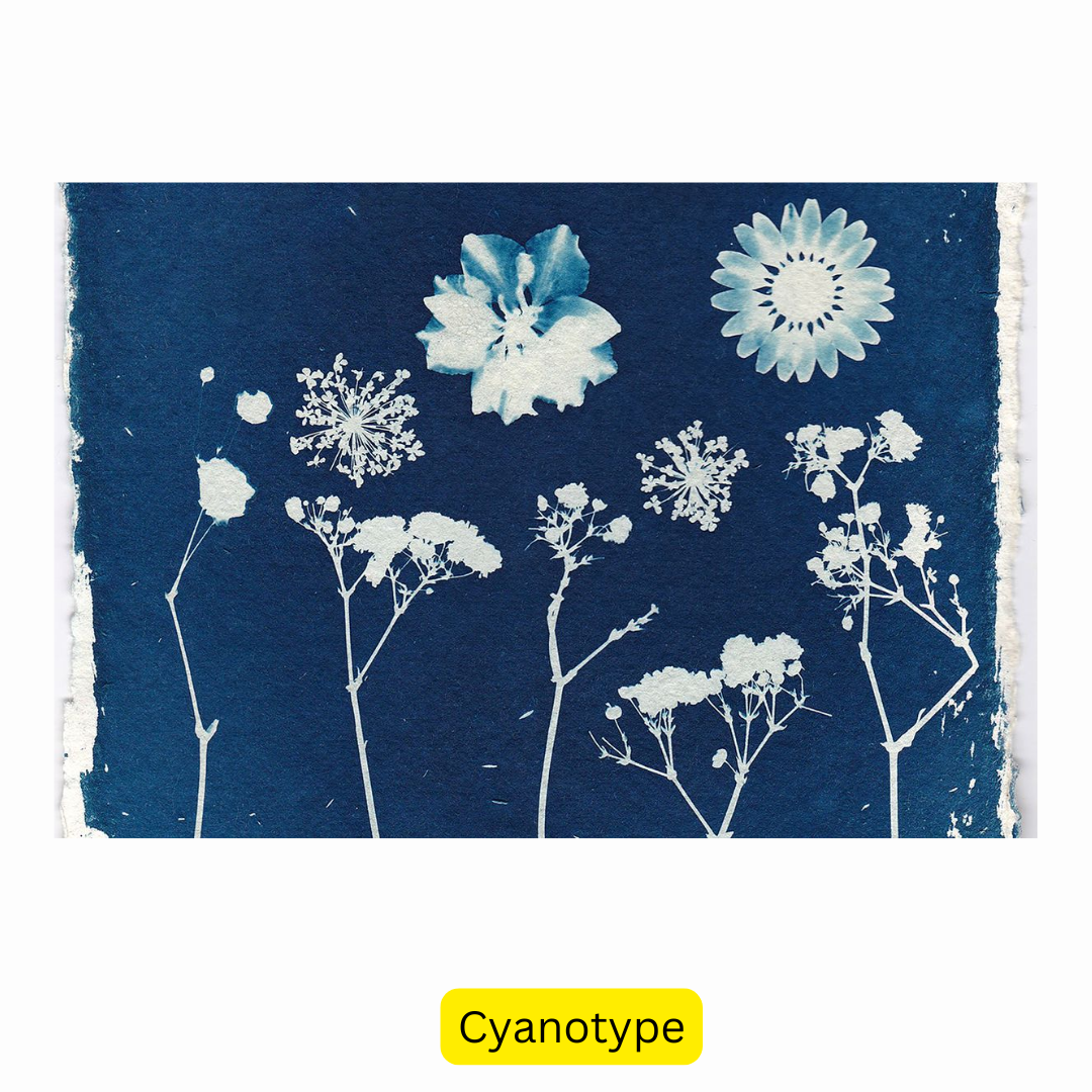 Printmaking course for teens / Art class / Afterschool Art Lesson