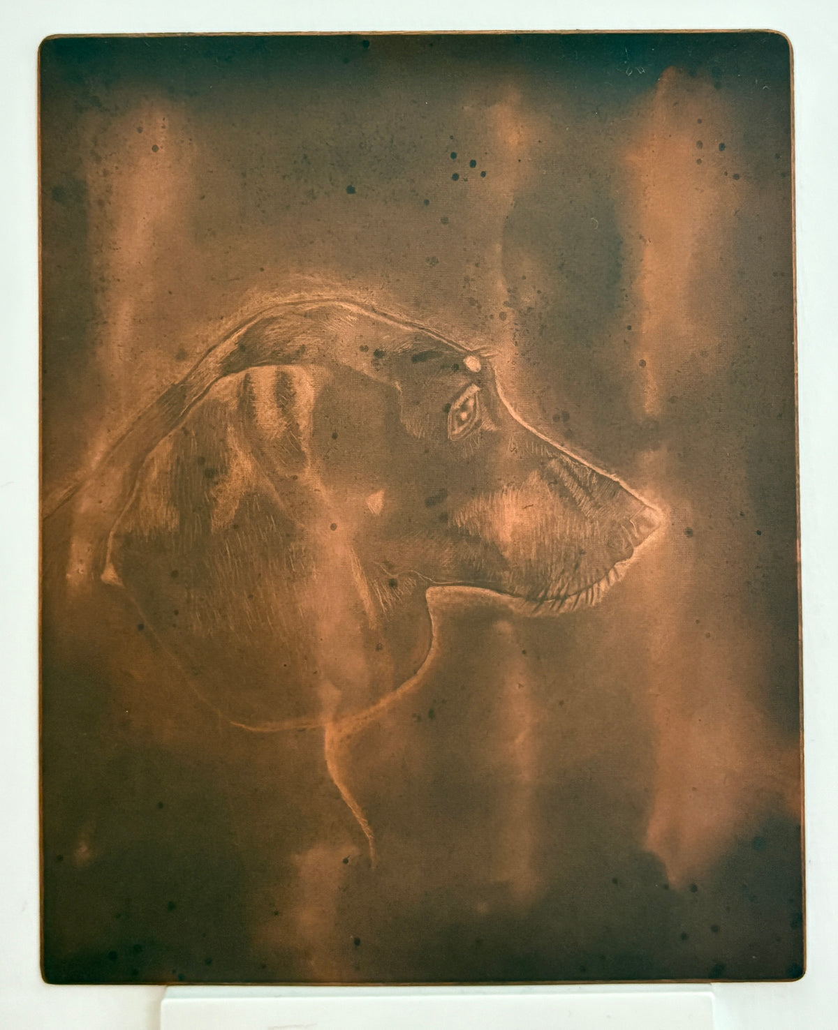 Mezzotint Design & Edition Workshop (2 day)