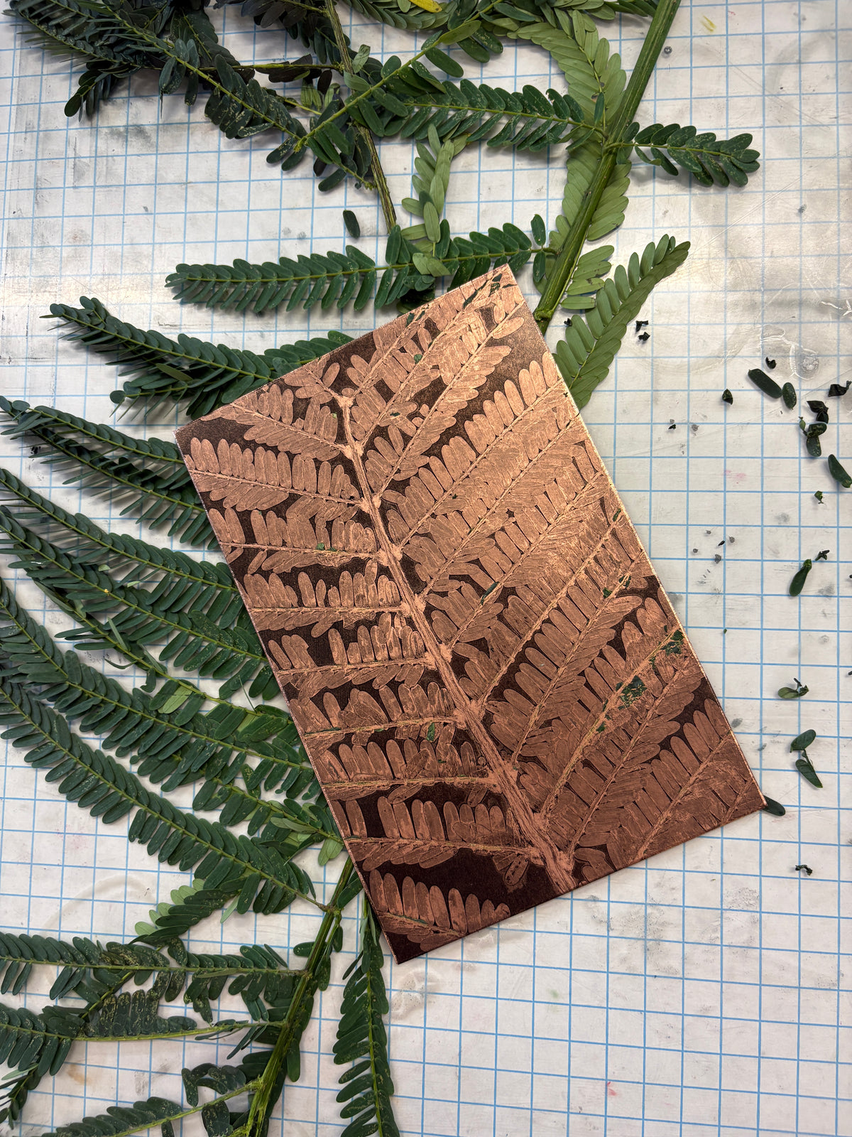 Soft Ground Etching Workshop