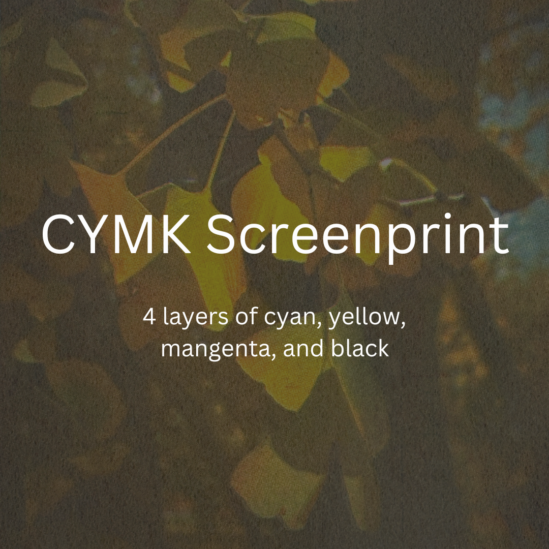 Screenprinting with CMYK Process Beginner-Friendly