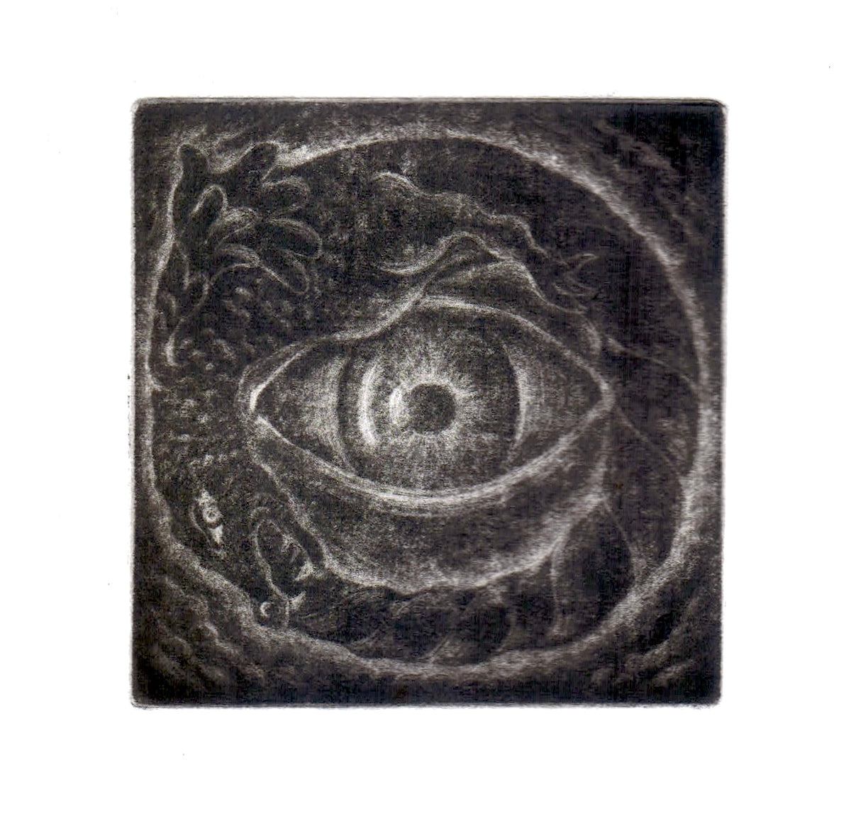 Mezzotint Workshop