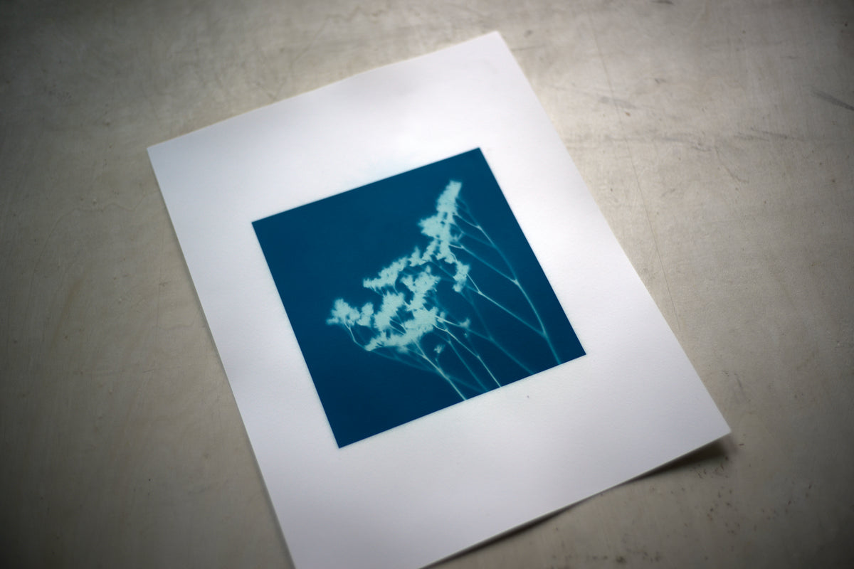 Cyanotype: Paper and Beyond with Damon Lam