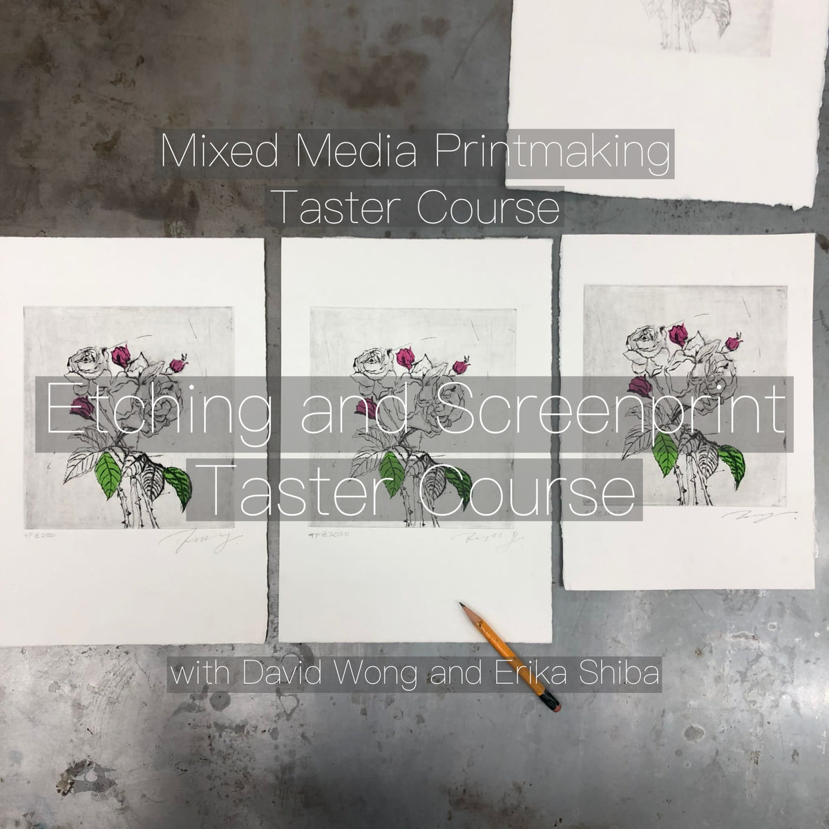 Mixed Media Printmaking Taster Course - Etching and Screen Print Taster Course